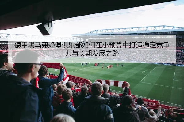 de-jia-hei-ma-fu-lai-bao-ju-le-bu-ru-he-zai-xiao-yu-suan-zhong-da-zao-wen-ding-jing-zheng-li-yu-chang-qi-fa-zhan-zhi-lu-2-799.jpg
