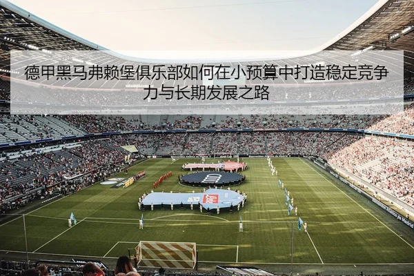 de-jia-hei-ma-fu-lai-bao-ju-le-bu-ru-he-zai-xiao-yu-suan-zhong-da-zao-wen-ding-jing-zheng-li-yu-chang-qi-fa-zhan-zhi-lu-3-974.jpg