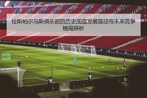 la-si-pa-er-ma-si-ju-le-bu-de-li-shi-di-yun-fa-zhan-lu-jing-yu-wei-lai-jing-zheng-ge-ju-tan-xi-2-537.jpg
